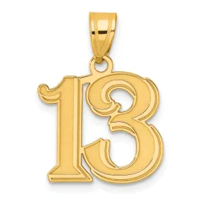 14k Yellow Gold Polished Etched Finish Number 13 Charm Pendant