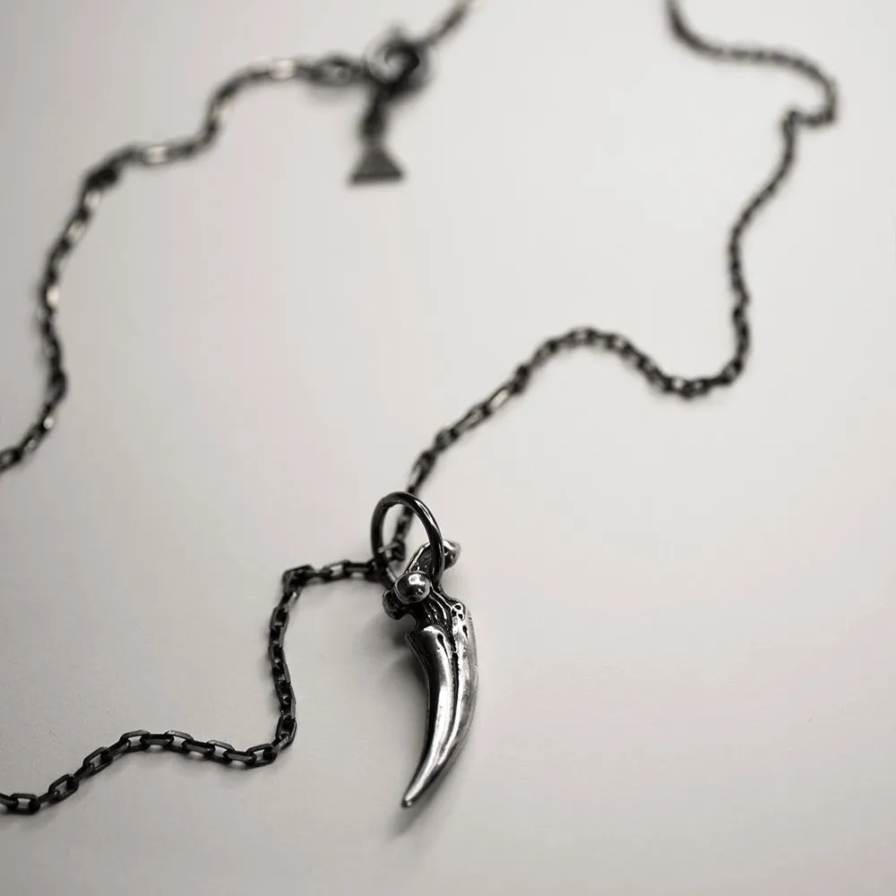 Claw pendant