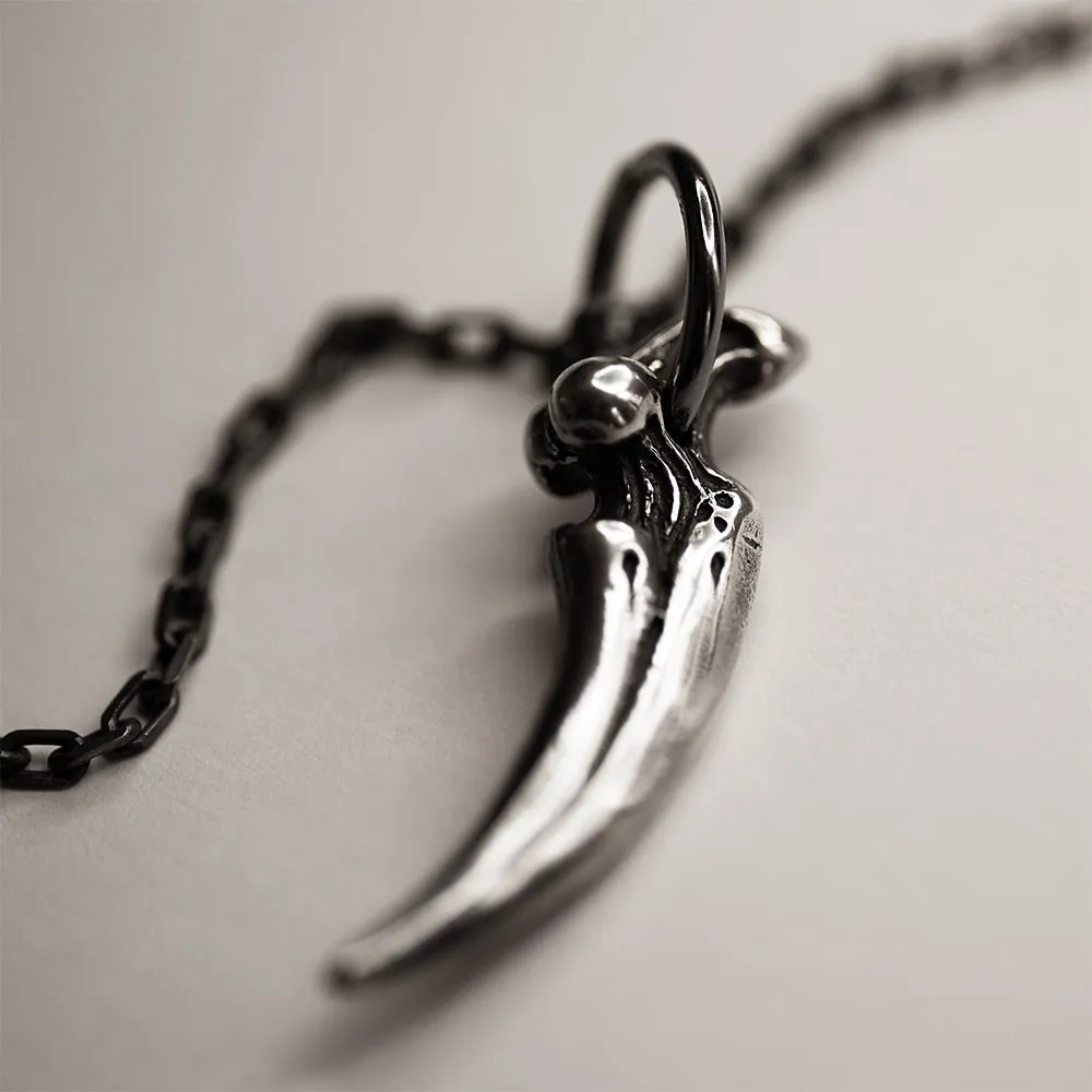 Claw pendant