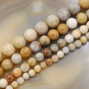 Natural Yellow Coral Fossil Gemstone Round Loose Beads on a 15.5" Strand